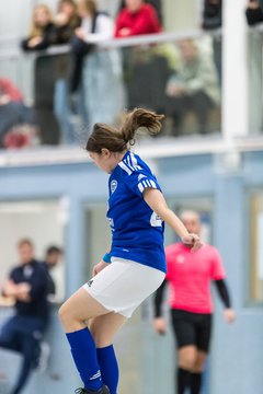 Bild 65 - F Loewinnen Hallen Cup